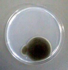101216_1112~0001.jpg