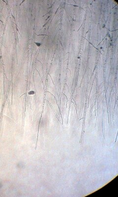 101216_1116~0001.jpg