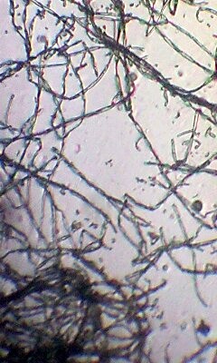 101216_1202~0001.jpg