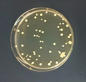写真 2013-04-03 10 45 03.jpg