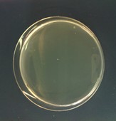 写真 2013-04-03 10 45 42.jpg