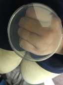 ʐ^ 2019-02-14 17 43 07.jpg
