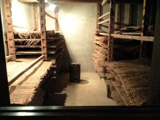 101011_1527~0001.jpg