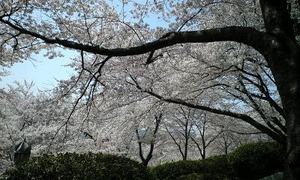 110410_1125~0001.jpg