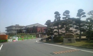 110410_1332~0001.jpg