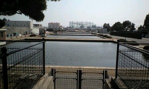 110410_1401~0001.jpg